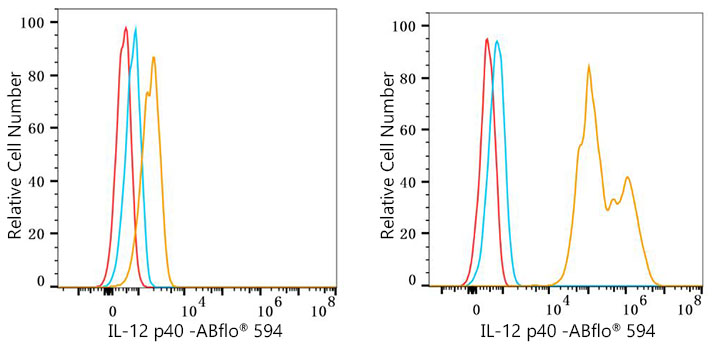 Il12b Rabbit Monoclonal Antibody [Clone ID: 6M1E3]