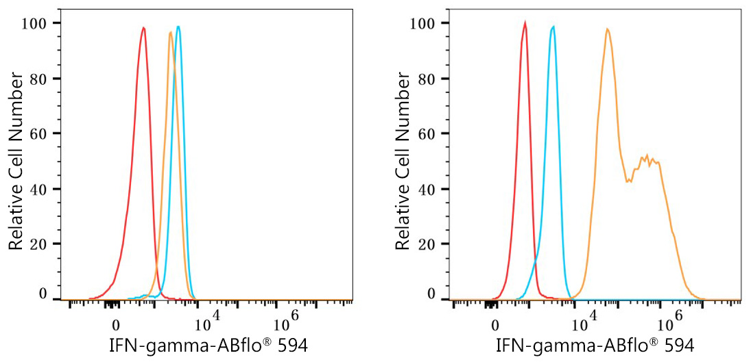 IFNG Rabbit Monoclonal Antibody [Clone ID: 6Y9R3]