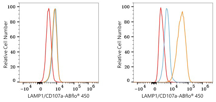 LAMP1 Rabbit Monoclonal Antibody [Clone ID: 5O6W10]