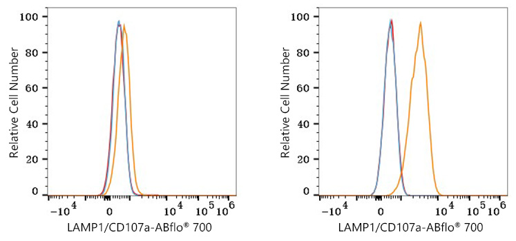LAMP1 Rabbit Monoclonal Antibody [Clone ID: 4E0O9]
