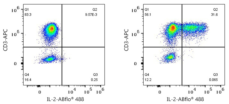 IL2 Rabbit Monoclonal Antibody [Clone ID: 0A9T7]