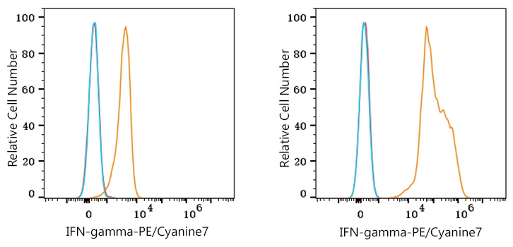 IFNG Rabbit Monoclonal Antibody [Clone ID: 1V0W6]
