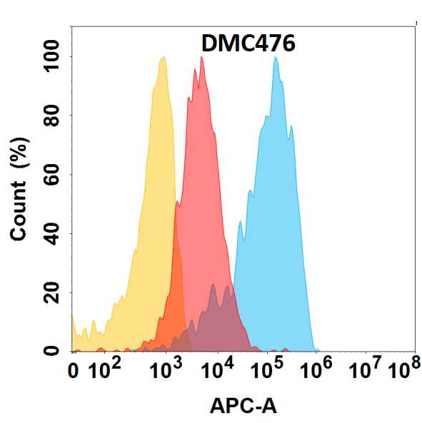 Figure 1. CD164 protein is highly expressed on the surface of HEK293 cell membrane. Flow cytometry analysis with Anti-CD164 (DMC476) on HEK293 cells transfected with human CD164 (Blue histogram) or HEK293 transfected with irrelevant protein (Red histogram), and Isotype antibody on HEK293 transfected with irrelevant protein (Orange histogram).