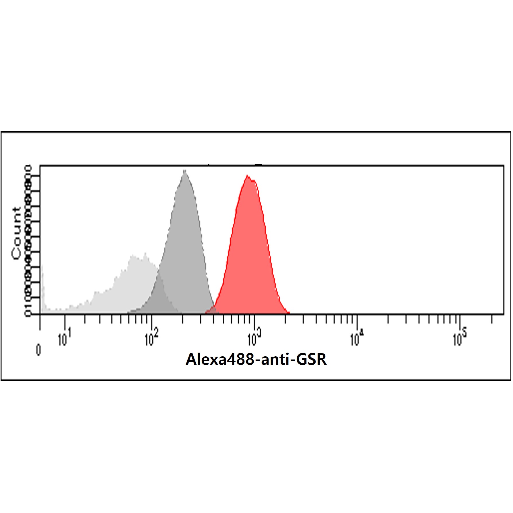Flow cytometry analysis of GSR in Jurkat cells. The cell was stained with Human Glutathione Reductase/GSR antibody at 2-5ug for 1x10^6cells (red). A Goat anti mouse IgG (Alexa fluor 488) was used as the secondary antibody. Mouse monoclonal IgG was used as the isotype control (dark gray), cells without incubation with primary and secondary antibody was used as the negative control (light gray).