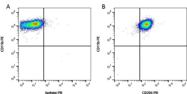 Figure A. PE conjugated Rat anti Mouse CD11b (<a href="https://www.bio-rad-antibodies.com/product/partnumber/MCA74PE.html">MCA74PE</a>) and Pacific Blue conjugated Rat IgG2b isotype control (<a href="https://www.bio-rad-antibodies.com/product/partnumber/MCA6006PB.html">MCA6006PB</a>). Figure B . PE conjugated Rat anti Mouse CD11b (<a href="https://www.bio-rad-antibodies.com/product/partnumber/MCA74PE.html">MCA74PE</a>) and Pacific Blue conjugated Rat anti Mouse CD204 (<a href="https://www.bio-rad-antibodies.com/product/partnumber/SM029PPB.html">SM029PPB</a>). All experiments performed on live single J774.2 cells, in the presence of 10% mouse serum. Data acquired on the ZE5 Cell Analyzer