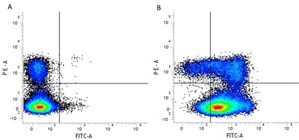 Figure A. RPE conjugated Rat anti Mouse CD3 (<a href="https://www.bio-rad-antibodies.com/product/partnumber/MCA500PE.html">MCA500PE</a>) and FITC conjugated Mouse IgG1 isotype control (<a href="https://www.bio-rad-antibodies.com/product/partnumber/MCA1209F.html">MCA1209F</a>). Figure B. RPE conjugated Rat anti Mouse CD3 (<a href="https://www.bio-rad-antibodies.com/product/partnumber/MCA500PE.html">MCA500PE</a>) and FITC conjugated Mouse anti Mouse CD44 (<strong>MCA1014F</strong>). All experiments performed on red cell lysed murine splenocytes gated on lymphocytes in the presence of murine SeroBlock (<a href="https://www.bio-rad-antibodies.com/product/partnumber/BUF041A.html">BUF041A</a>).