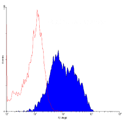 Staining of <strong><a href="https://www.cellosaurus.org/CVCL_0013"target="_blank" rel="noopener">MOLT4</a></strong> cells with FITC conjugated Mouse anti Human CD71 antibody, clone DF1513 (<strong>MCA1148F</strong>).