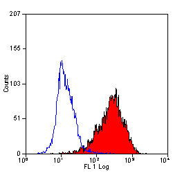 Flow cytometry staining of <a href="https://web.expasy.org/cellosaurus/CVCL_0337"target="_blank" rel="noopener">HuT 78</a> cells with RPE conjugated Mouse anti Human CD90 antibody, clone F15-42-1 (<strong>SM1170PPE</strong>).