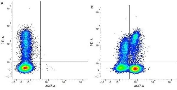 Figure A. RPE conjugated Mouse anti Human CD8 antibody, clone LT8 (<strong><a href="https://www.bio-rad-antibodies.com/product/partnumber/MCA1226PE.html">MCA1226PE</a></strong>) and Alexa Fluor<sup>&reg;</sup>647 conjugated Rat IgG1 isotype control (<strong><a href="https://www.bio-rad-antibodies.com/product/partnumber/MCA6004A647.html">MCA6004A647</a>)</strong>.<br>Figure B. RPE conjugated Mouse anti Human CD8 antibody, clone LT8 (<strong><a href="https://www.bio-rad-antibodies.com/product/partnumber/MCA1226PE.html">MCA1226PE</a></strong>) and Alexa Fluor<sup>&reg;</sup>647 conjugated Rat anti Human CD3&epsilon; antibody, clone CD3-12 (<strong>MCA1477A647</strong>).<br>All experiments performed on red cell lysed human peripheral blood gated on leukocytes in the presence of human SeroBlock (<strong><a href="https://www.bio-rad-antibodies.com/product/partnumber/BUF070A.html">BUF070A</a></strong>).