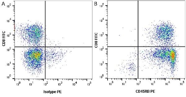 Figure A. FITC conjugated Rat anti Human CD8 antibody, clone YTC182.20 (<strong><a href="https://www.bio-rad-antibodies.com/product/partnumber/MCA351F.html"target="_blank">MCA351F</a></strong>) and isotype control (<strong><a href="https://www.bio-rad-antibodies.com/product/partnumber/MCA928.html"target="_blank">MCA928</a></strong>) detected with RPE conjugated Goat anti Mouse IgG antibody (<strong><a href="https://www.bio-rad-antibodies.com/product/partnumber/STAR76.html"target="_blank">STAR76</a></strong>).<br>Figure B.  FITC conjugated Rat anti Human CD8 antibody, clone YTC182.20 (<strong><a href="https://www.bio-rad-antibodies.com/product/partnumber/MCA351F.html"target="_blank">MCA351F</a></strong>) and Mouse anti Human CD45RB antibody, clone MEM-55 (<strong>SM1797P</strong>) detected with RPE conjugated Goat anti Mouse IgG antibody (<strong><a href="https://www.bio-rad-antibodies.com/product/partnumber/STAR76.html"target="_blank">STAR76</a></strong>).<br>All experiments performed on red cell lysed human blood gated on single lymphocytes in the presence of 10% human serum. Data acquired on the <strong><a href="https://www.bio-rad.com/en-uk/product/ze5-cell-analyzer?ID=OC62Q015"target="_blank">ZE5 Cell analyser</a></strong>.