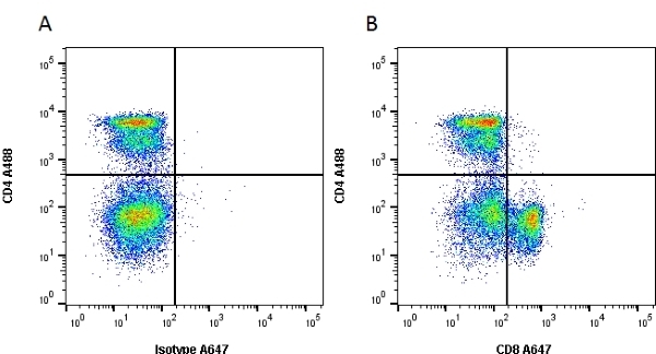 Figure A. Alexa Fluor<sup>&reg;</sup> 488 conjugated Mouse anti Rat CD4 antibody, clone W3/25 (<strong><a href="https://www.bio-rad-antibodies.com/product/partnumber/MCA55A488.html"target="_blank">MCA55A488</a></strong>) and Alexa Fluor<sup>&reg;</sup> 647 conjugated Mouse IgG1 isotype control (<strong><a href="https://www.bio-rad-antibodies.com/product/partnumber/MCA1209A647.html"target="_blank">MCA1209A647</a></strong>).<br>Figure B. Alexa Fluor<sup>&reg;</sup> 488 conjugated Mouse anti Rat CD4 antibody, clone W3/25 (<strong><a href="https://www.bio-rad-antibodies.com/product/partnumber/MCA55A488.html"target="_blank">MCA55A488</a></strong>) and Alexa Fluor<sup>&reg;</sup> 647 conjugated Mouse anti Rat CD8 antibody, clone OX-8 (<strong>MCA48A647</strong>). All experiments performed on red cell lysed rat blood gated on lymphoid cells in the presence of 10% human serum.<br>Data acquired on the <strong><a href="https://www.bio-rad.com/en-uk/product/ze5-cell-analyzer?ID=OC62Q015"target="_blank">ZE5 Cell analyser</a></strong>.