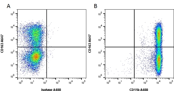 Figure A. Alexa Fluor<sup>&reg;</sup> 647 conjugated Mouse anti Rat CD163 antibody, clone ED2 (<strong><a href="https://www.bio-rad-antibodies.com/product/partnumber/MCA342A647.html"target="_blank">MCA342A647</a></strong>) and Alexa Fluor<sup>&reg;</sup> 488 conjugated Mouse IgG2a isotype control (<strong><a href="https://www.bio-rad-antibodies.com/product/partnumber/MCA1210A488.html"target="_blank">MCA1210A488</a></strong>).<br>Figure B. Alexa Fluor<sup>&reg;</sup> 647 conjugated Mouse anti Rat CD163 antibody, clone ED2 (<strong><a href="https://www.bio-rad-antibodies.com/product/partnumber/MCA342A647.html"target="_blank">MCA342A647</a></strong>)  and Alexa Fluor<sup>&reg;</sup> 488 conjugated Mouse anti Rat CD11b antibody, clone OX-42 (<strong>MCA275A488</strong>). All experiments performed on rat peritoneal macrophages gated on live, single cells in the presence of 10% rat serum.<br>Data acquired on the <strong><a href="https://www.bio-rad.com/en-uk/product/ze5-cell-analyzer?ID=OC62Q015"target="_blank">ZE5 Cell analyser</a></strong>.