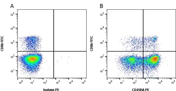 Figure A. FITC conjugated Mouse anti Porcine CD8b (<a href="https://www.bio-rad-antibodies.com/product/partnumber/MCA5954F.html">MCA5954F</a>) and RPE conjugated Mouse IgG1 isotype control (<a href="https://www.bio-rad-antibodies.com/product/partnumber/MCA928PE.html">MCA928PE</a>). Figure B. FITC conjugated Mouse anti Porcine CD8b (<a href="https://www.bio-rad-antibodies.com/product/partnumber/MCA5954F.html">MCA5954F</a>) and RPE conjugated Mouse anti Porcine CD45RA (<strong>MCA1751PE</strong>). All experiments performed on red cell lysed porcine blood gated on lymphocytes. Data acquired on the ZE5 Cell Analyzer.