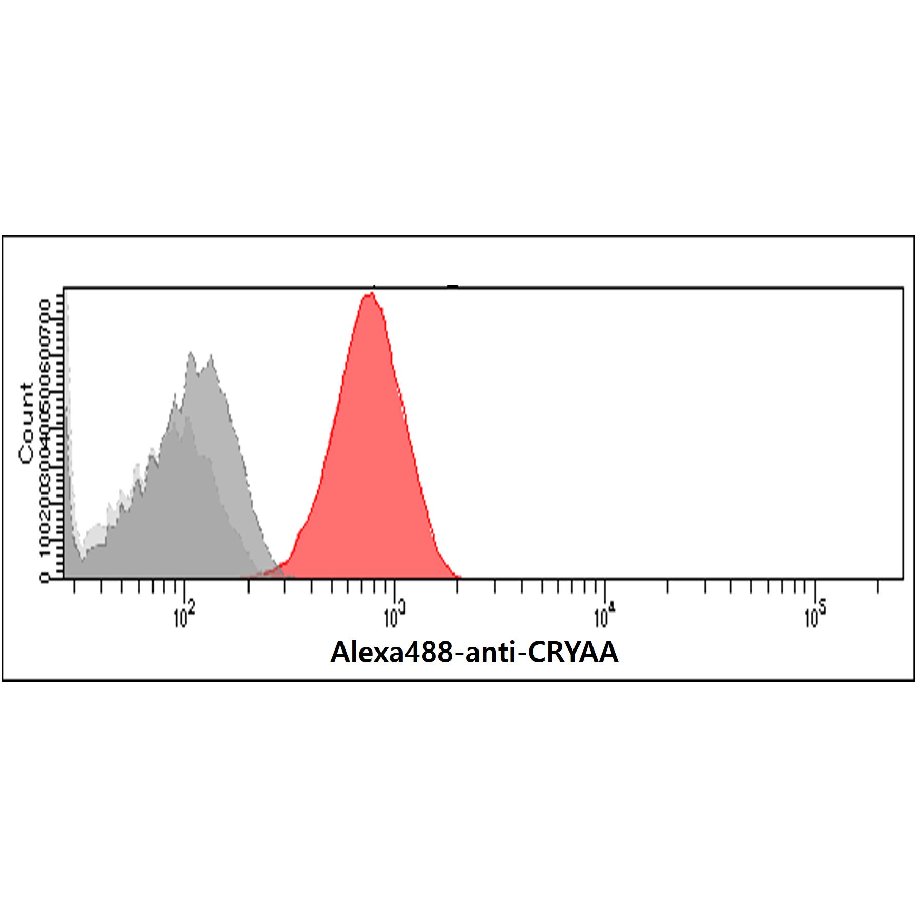 Flow cytometry analysis of Crystallin alpha A in Balb/3T3 cells. The cell was stained with Human Crystallin alpha A/CRYAA antibody at 2-5ug for 1x10^6cells (red). A Goat anti mouse IgG (Alexa fluor 488) was used as the secondary antibody. Mouse monoclonal IgG was used as the isotype control (dark gray), cells without incubation with primary and secondary antibody was used as the negative control (light gray).