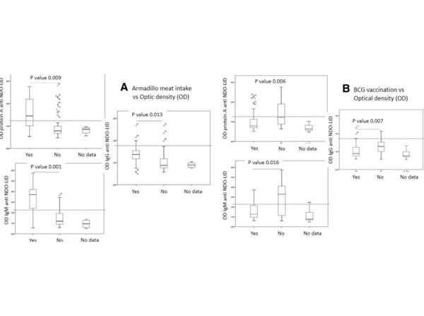 ELISA results using Goat Anti-Human IgG.
Impact of behavioral variables on M. leprae infection levels. Anti-natural octyl disaccharide-leprosy IDRI diagnostic (NDO-LID) antibody levels in children and adolescents were measured by ELISA, using either protein A, anti- IgM or anti-IgG to detect responses. In a, samples were stratified by recorded knowledge of eating armadillo meat as either yes (n = 14) or no (n = 64). In b, samples were stratified by recorded knowledge of BCG re-vaccination following identification of the index leprosy case as either yes (n = 54) or no (n = 16). Data are displayed as box and whisker plots, with the box representing the Q1 to Q3 interquartile range and the horizontal bar representing the median of the optical density of the samples. Individual dots indicate outliers, and p-values are indicated by the lines above each indicated group. Fig. 2. PMID: 31196008.