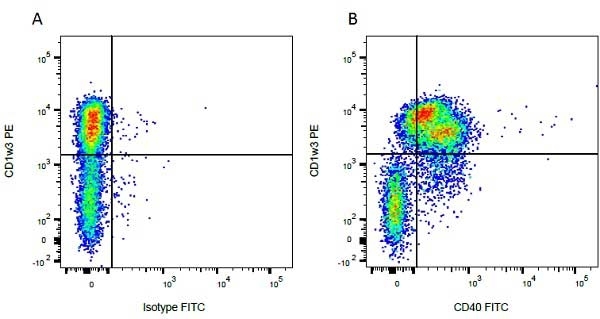 Figure A. Purified mouse anti bovine CD1w3 detected with goat anti mouse IgG2b RPE (<strong>STAR134PE</strong>) and FITC conjugated mouse IgG1 isotype control (<a href="https://www.bio-rad-antibodies.com/product/partnumber/MCA928F.html">MCA928F</a>). Figure B. Purified mouse anti bovine CD1w3 detected with goat anti mouse IgG2b RPE (<strong>STAR134PE</strong>) and FITC conjugated mouse anti bovine CD40 (<a href="https://www.bio-rad-antibodies.com/product/partnumber/MCA2431F.html">MCA2431F</a>). All experiments performed on red cell lysed bovine blood gated on mononuclear cells.