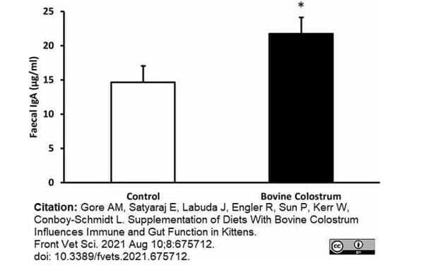 <strong>Published customer image:</strong> <br>Mouse anti Cat IgA antibody, clone IgA9-6A (<strong>SM1508P</strong>) used as a capture reagent for the evaluation of IgA levels by ELISA<br><strong>Image caption:</strong><br>Combined means for IgA levels collected from faecal samples during weeks −4 to 40 from kittens fed diets with or without bovine colostrum. Values are means and vertical bars represent their standard errors (n = 12). *Mean value was significantly different from control (p <0.05).<br><br>From: Gore AM, Satyaraj E, Labuda J, Engler R, Sun P, Kerr W, Conboy-Schmidt L.<br>Supplementation of Diets With Bovine Colostrum Influences Immune and Gut Function in Kittens.<br><a href="https://pubmed.ncbi.nlm.nih.gov/34447799/"target="_blank" rel="noopener">Front Vet Sci. 2021 Aug 10;8:675712</a>.<br>doi: 10.3389/fvets.2021.675712.<br>This image is from an open access article distributed under terms of a <a href="https://creativecommons.org/licenses/by/4.0/"target="_blank" rel="noopener">Creative Commons Attribution License</a>.