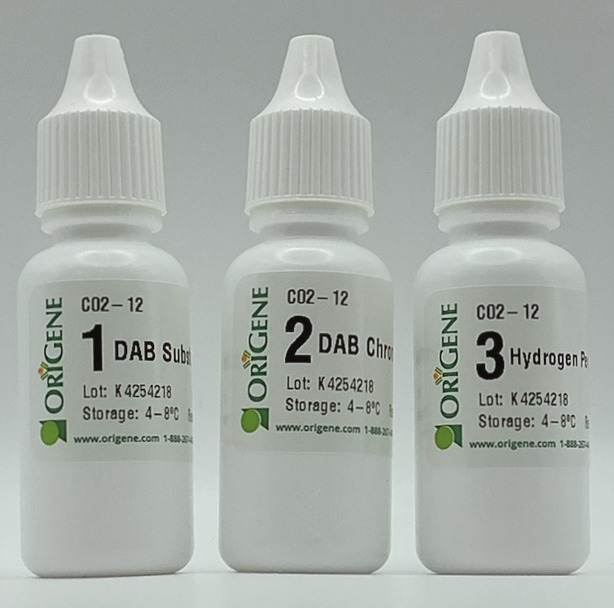 DAB Chromogen Kit