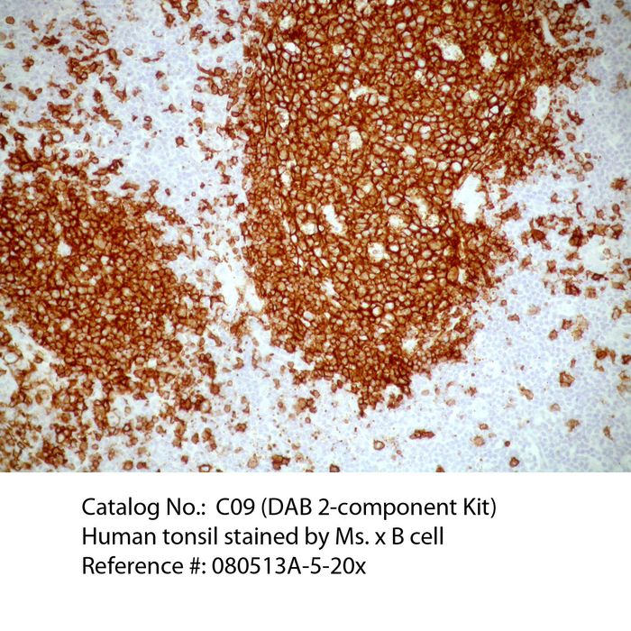 DAB+ Chromogen Kit | C09-100 | OriGene Technologies Inc.