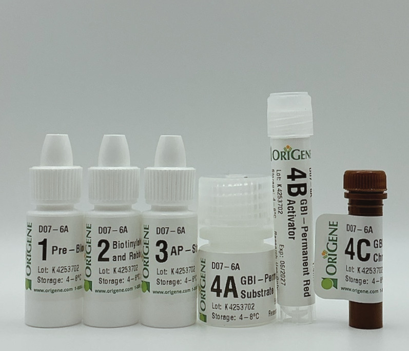 APlink AP Broad Spectrum Permanent Red Detection Kit