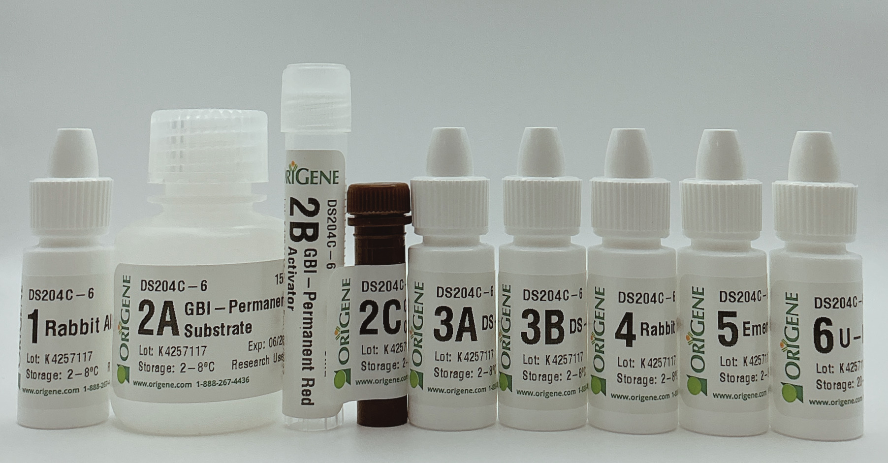 Polink DS-RR-Hu/Ms C Kit