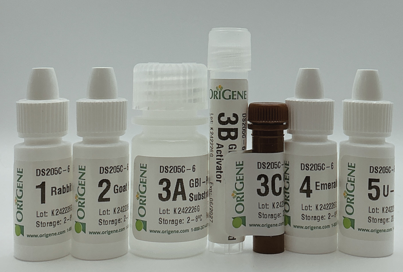 Polink DS-GR-Hu/Ms C Kit