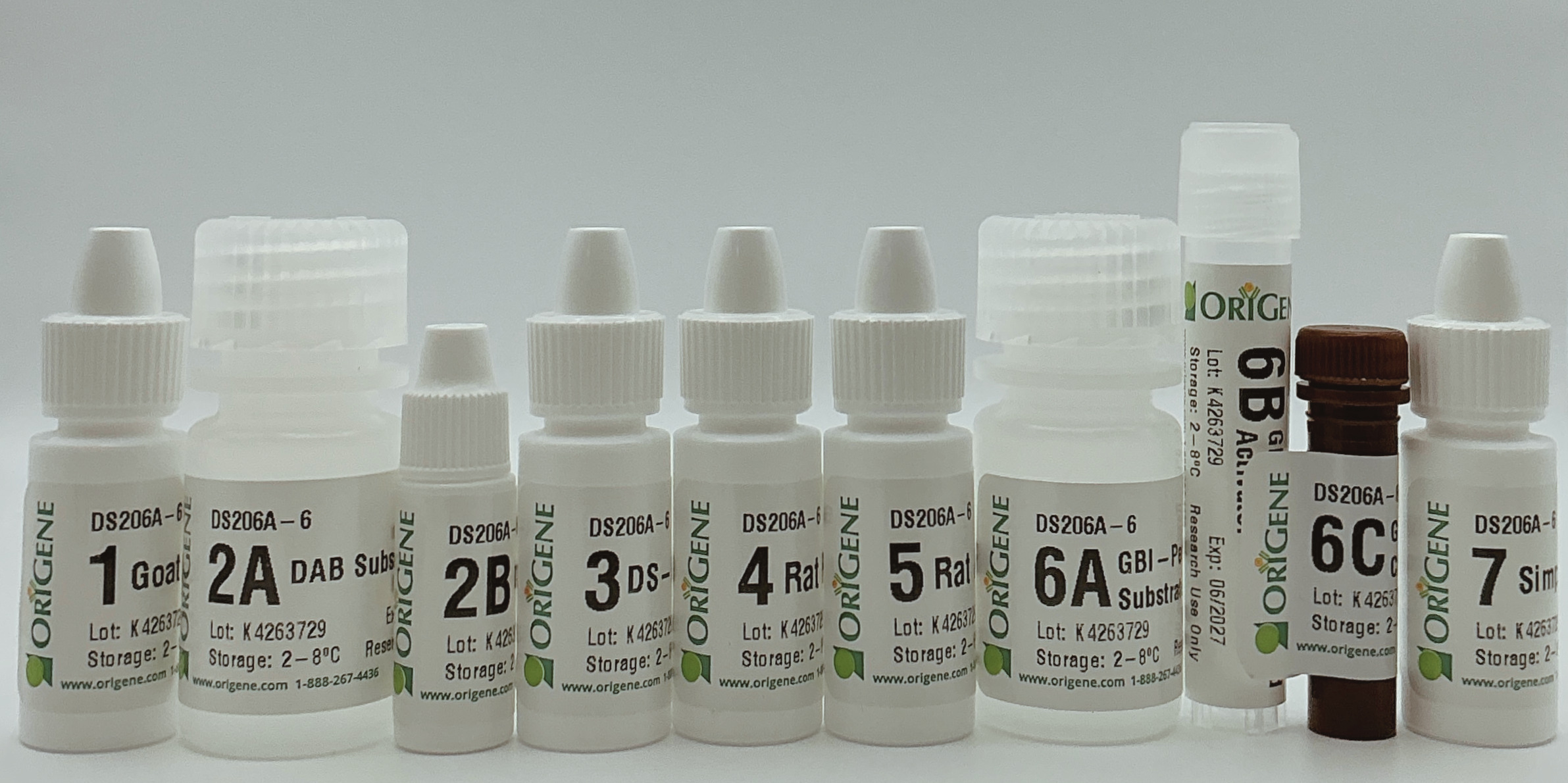 Polink DS-GRt-Hu/Ms A Kit