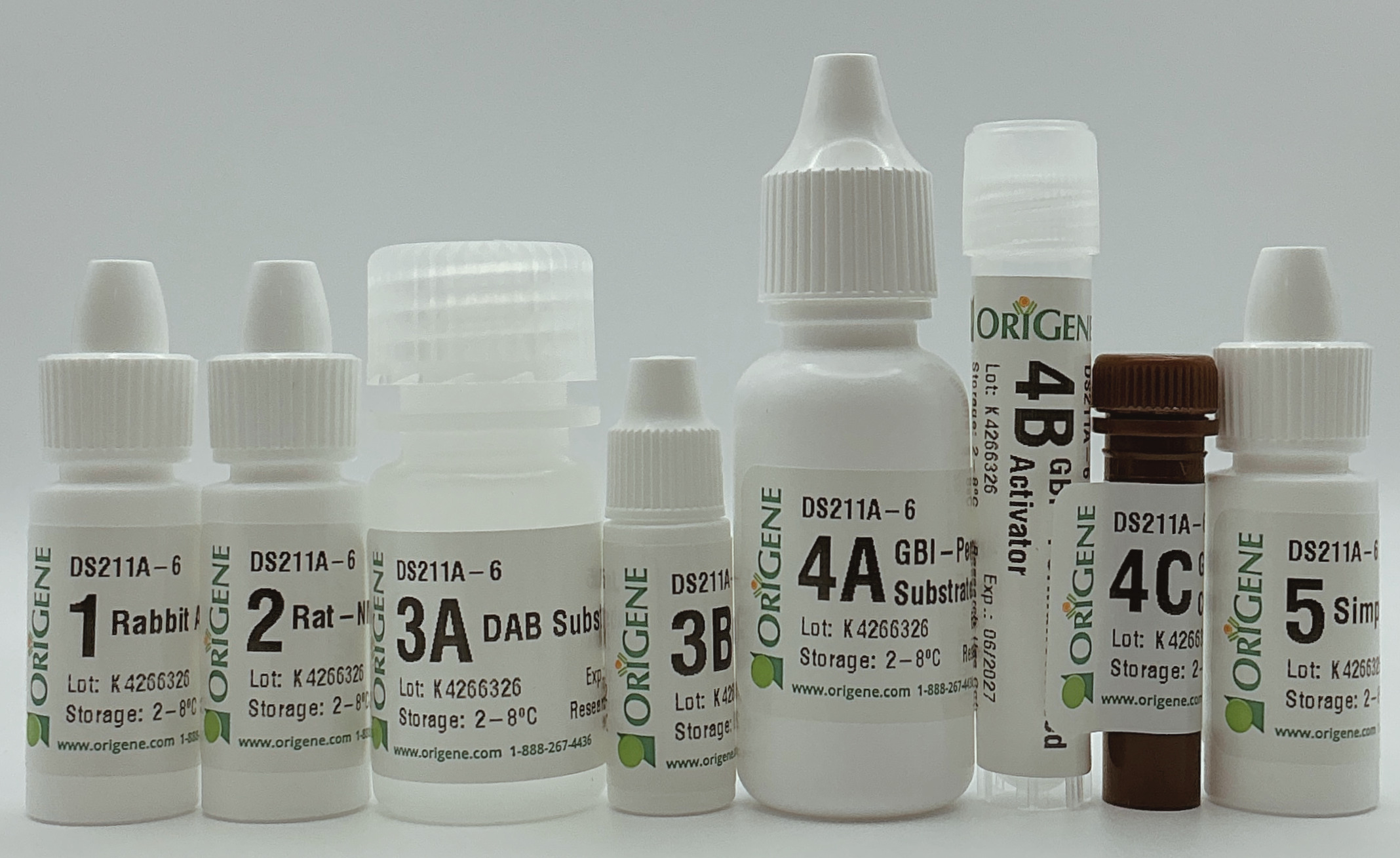 Polink DS-RRt-Hu/Ms A Kit
