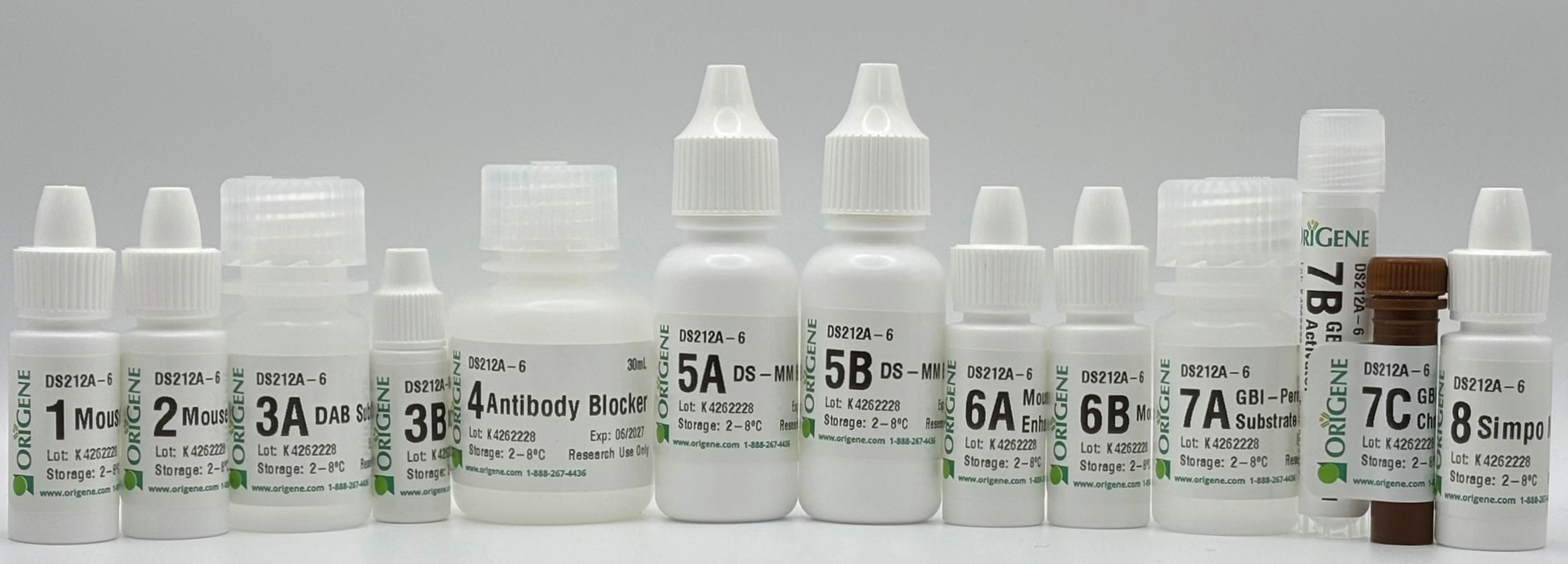 Polink DS-MM-Ms A Kit