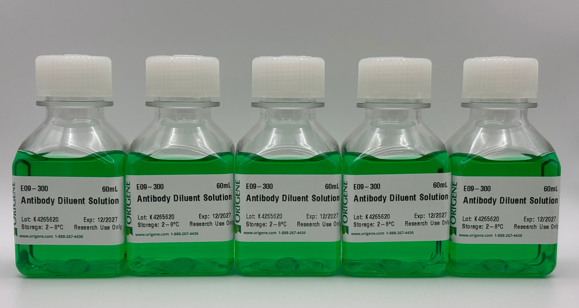 Antibody Diluent Solution