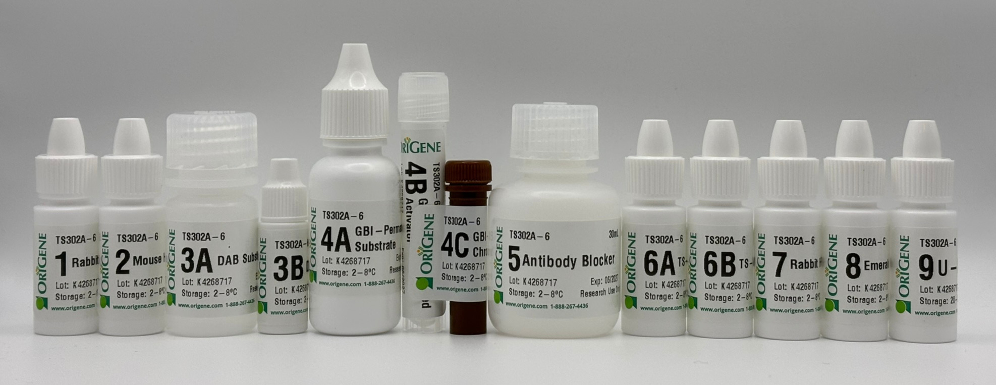 Polink TS-M RR Hu A Kit