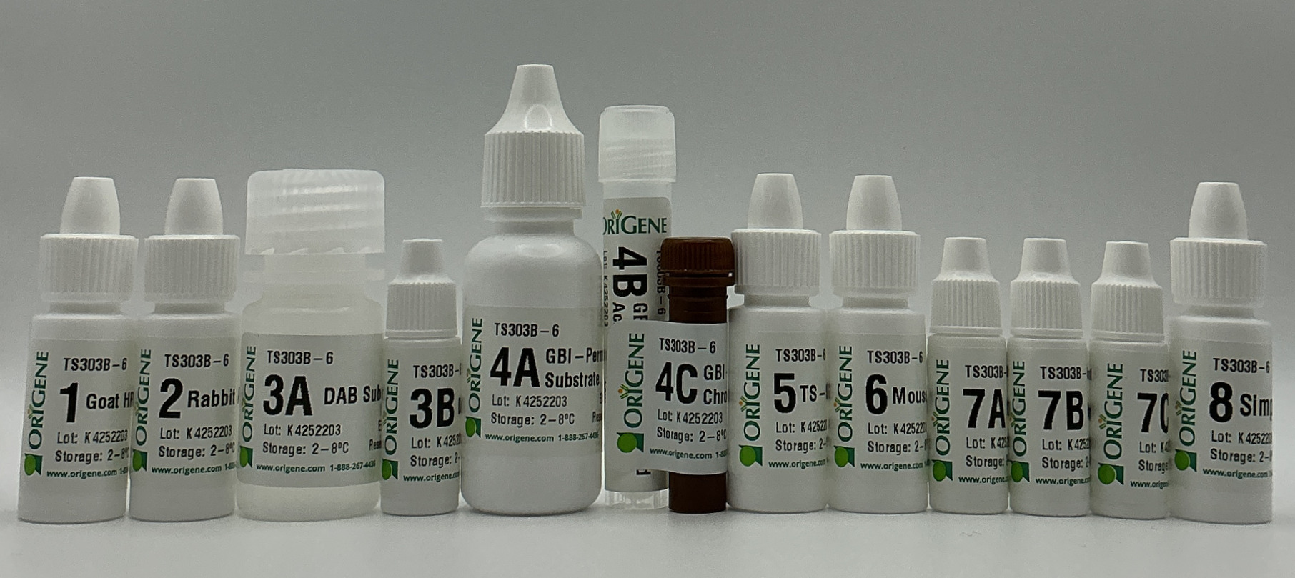 Polin TS-GMR-Hu B Kit