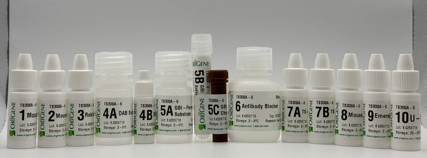Polink TS-MMR-Ms A Kit
