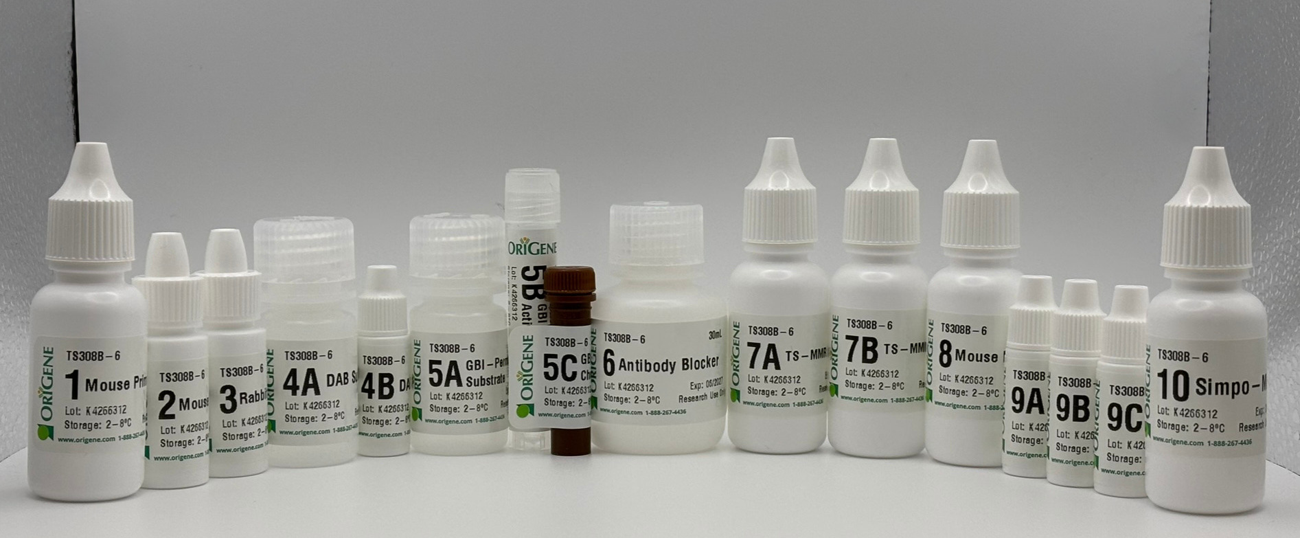 Polink TS-MMR-Ms B Kit