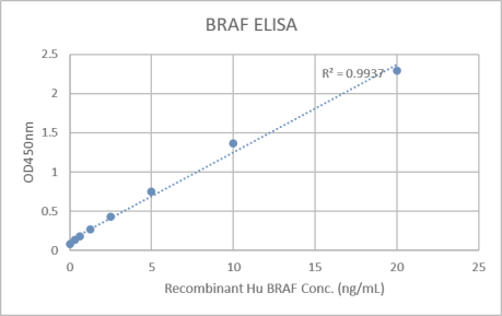 Human B Raf (BRAF) ELISA Kit.