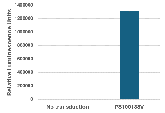 Lentiviral Control Particles