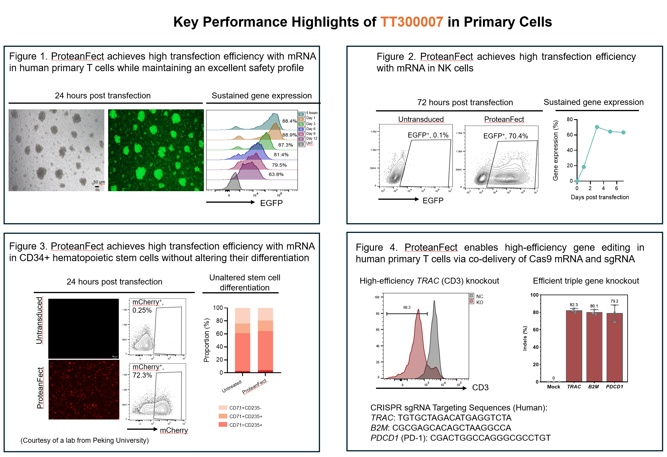 TT300007 Performance Highlights