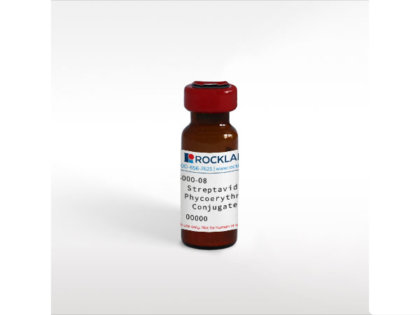 Streptavidin Protein