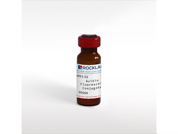 Avidin Fluorescein Conjugated