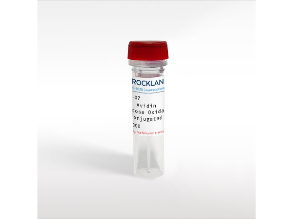Avidin Glucose Oxidase Conjugated