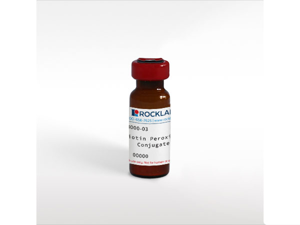 Biotin (HRP conjugated)
