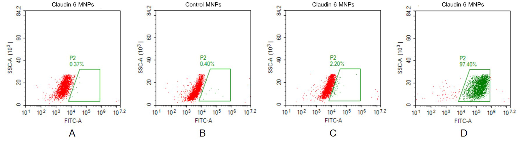CLDN6 Human Recombinant Protein, Membrane Nanoparticle