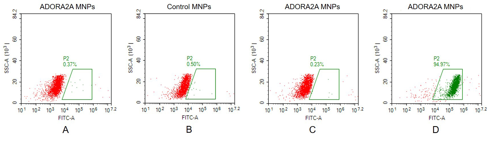ADORA2A Human Recombinant Protein, Membrane Nanoparticle