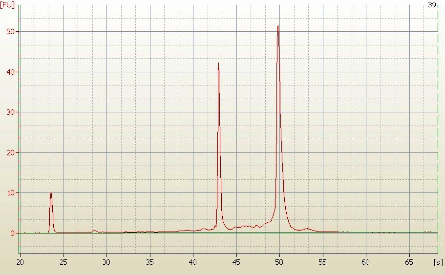 RNA Electropherogram Image