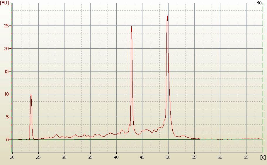 RNA Electropherogram Image