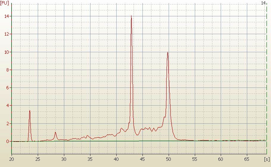 RNA Electropherogram Image
