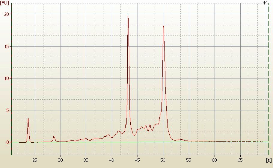 RNA Electropherogram Image