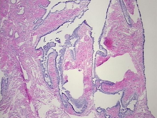 4x Image