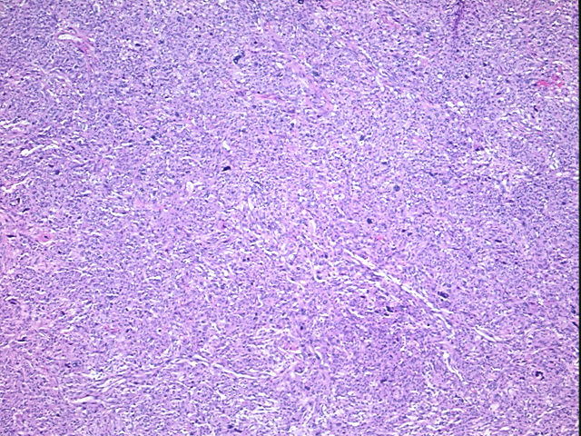 4x Image
