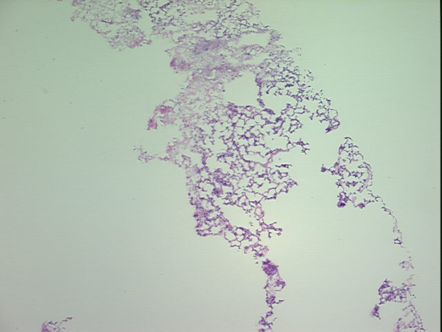 4x Image